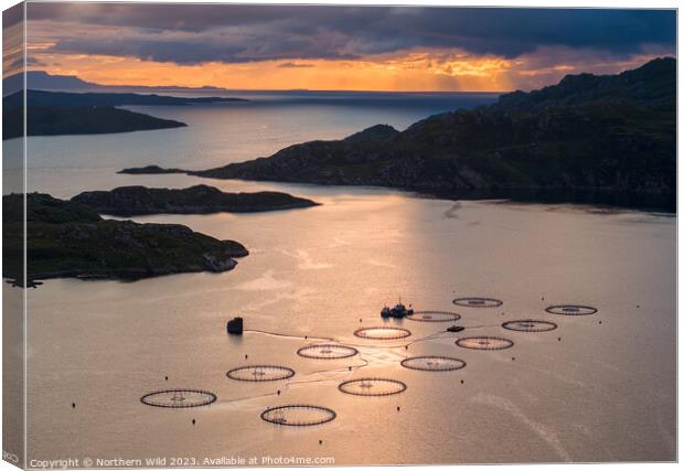 Scottish Twilight Over Salmon Farms Canvas Print by Northern Wild