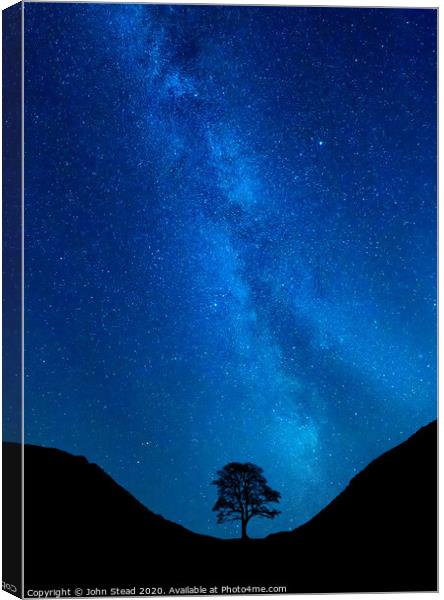 Sycamore Tree Milky Way Canvas Print by Northern Wild