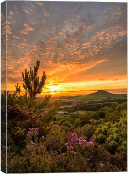 Roseberry Topping sunset Canvas Print by Northern Wild