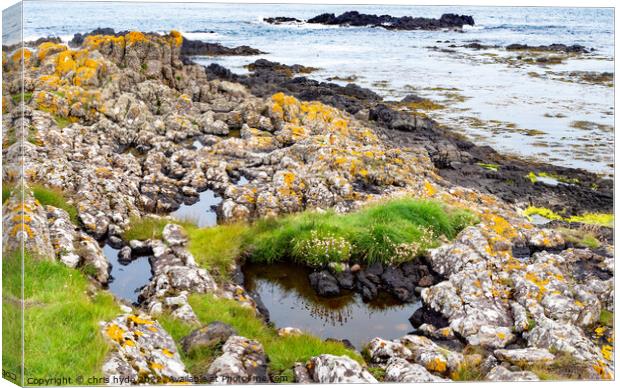 Rock pools on the foreshore Canvas Print by chris hyde