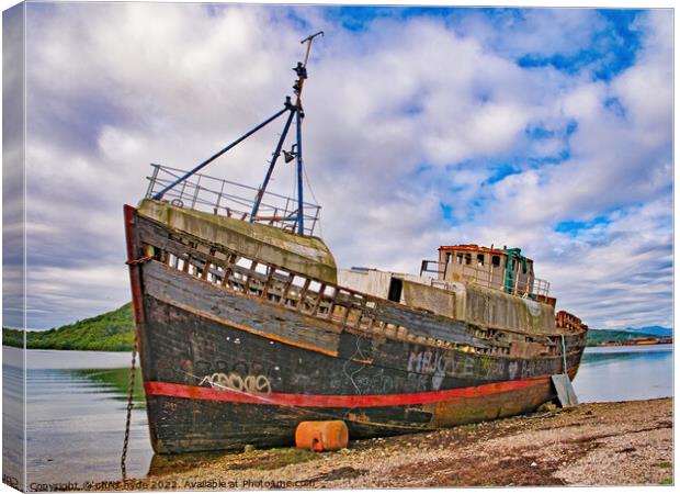 Wreck of Trawler 2 Canvas Print by chris hyde