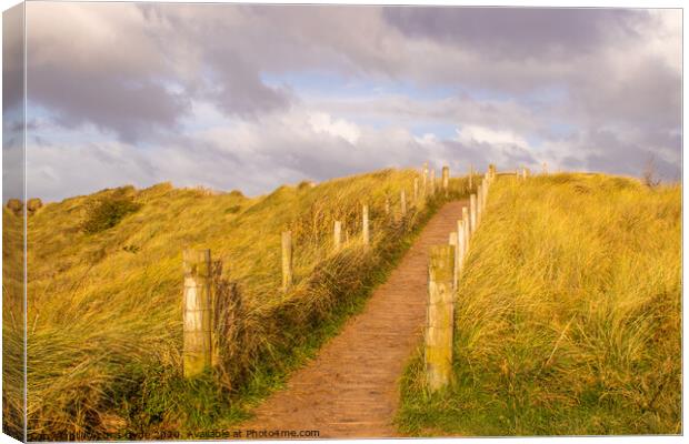 Talacre Beach 1 Canvas Print by chris hyde