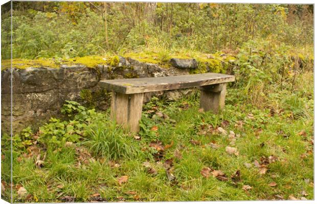 Woodland Bench  Canvas Print by chris hyde