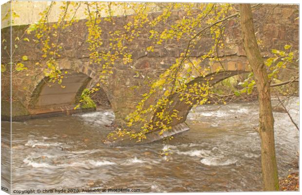 River Alyn footbridge  Canvas Print by chris hyde