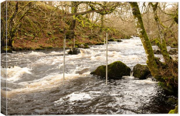 White Water Rapids Canvas Print by chris hyde