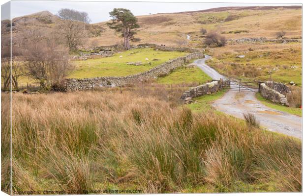 Rural Welsh Hill Farm Canvas Print by chris hyde