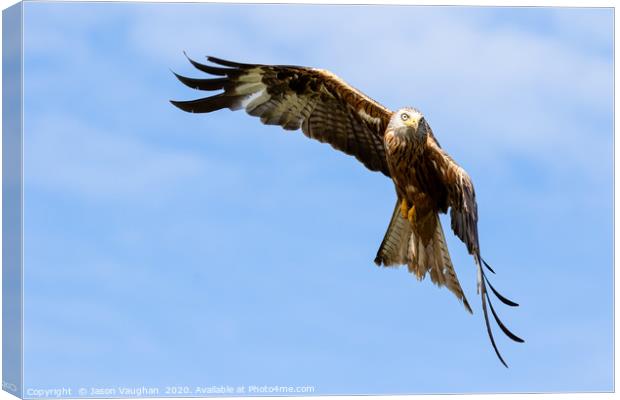 Glide Canvas Print by Jason Vaughan