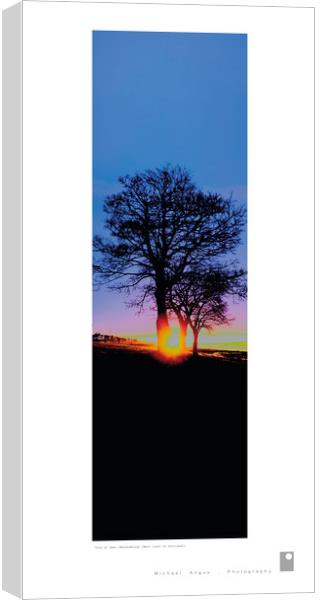 Trees at Dawn (Helensburgh [Scotland]) Canvas Print by Michael Angus