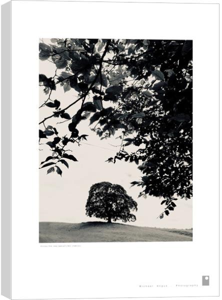 Solitary Tree (Hadrian’s Wall [Cumbria]) Canvas Print by Michael Angus