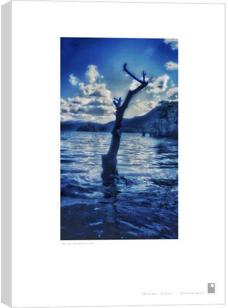 Water Tree (Loch Lomond [Scotland]) Canvas Print by Michael Angus