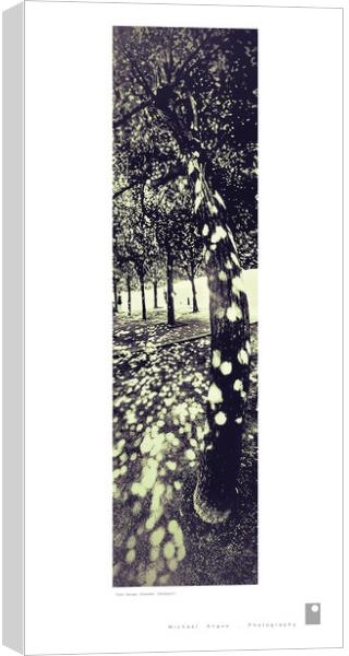 Tree Canopy (Dresden [Germany]) Canvas Print by Michael Angus