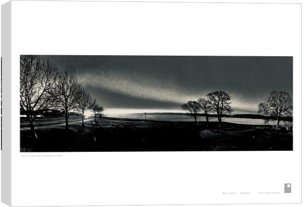 Trees at Kidston Park (Helensburgh) Canvas Print by Michael Angus