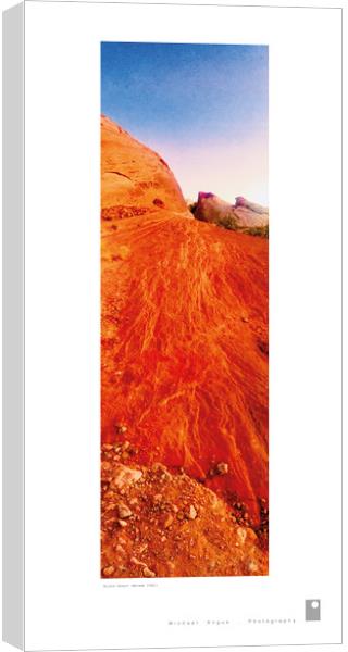 Mojave Desert (Nevada [USA]) Canvas Print by Michael Angus