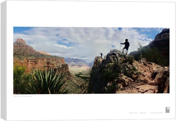 Stay or Go: Grand Canyon (USA) Canvas Print by Michael Angus