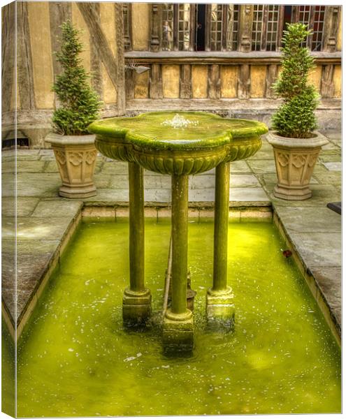Wishing fountain Canvas Print by David French