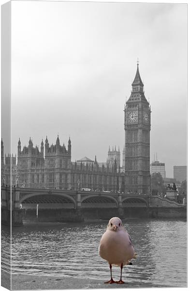 London sight seeing Canvas Print by David French