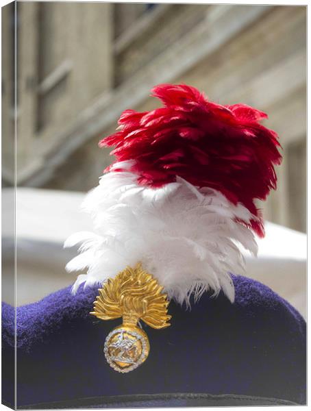 The Royal Fusilier’s cap badge Canvas Print by David French