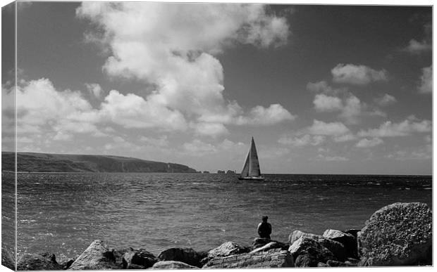 Hurst Point watching bw Canvas Print by David French