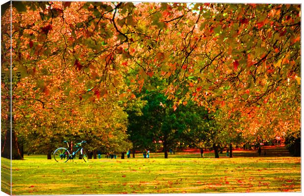 Green Park autumn London Canvas Print by David French