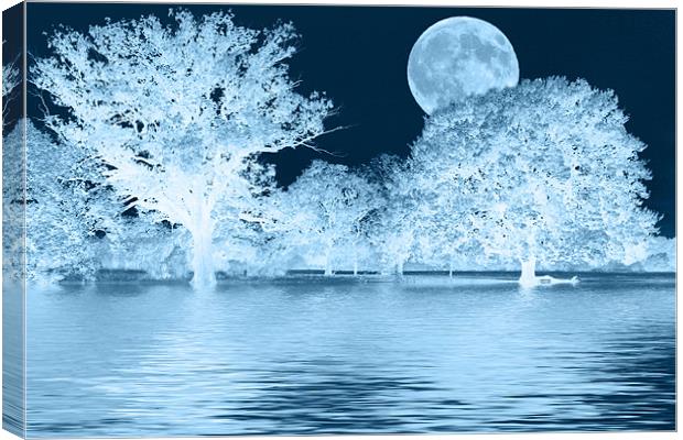 Blue Moon landscape Canvas Print by David French