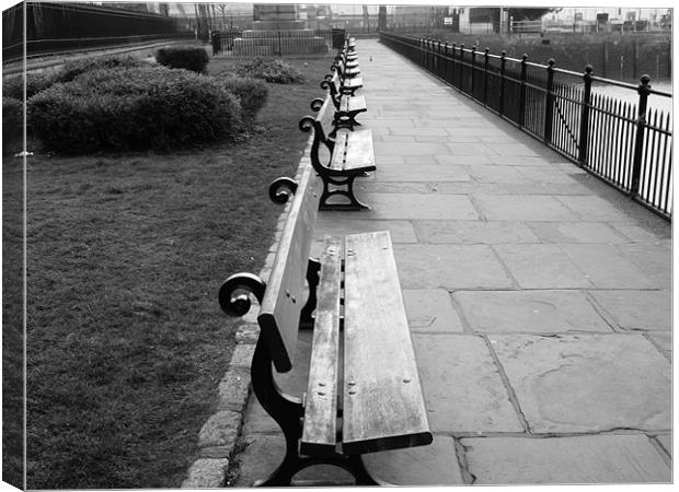 Park Benches  Canvas Print by David French