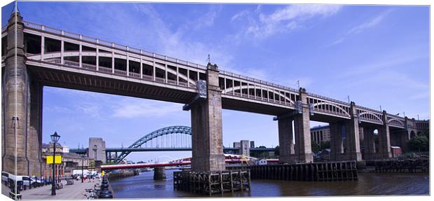 Newcastle river Tyne Bridges Canvas Print by David French