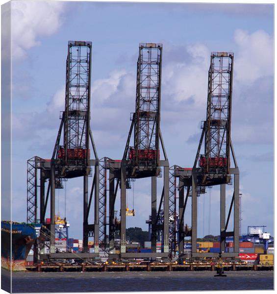 Felixstowe container docks Canvas Print by David French