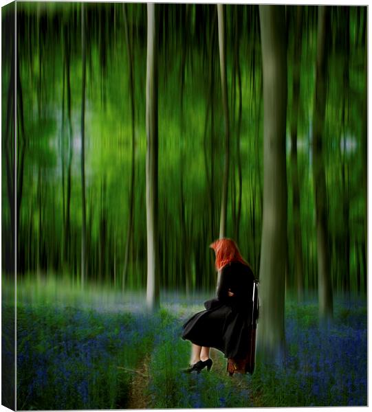 Red Head in Blue Bell wood  Art Digital art Canvas Print by David French