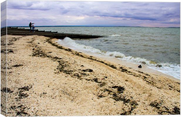 Whitstable fishing village, Canvas Print by David French