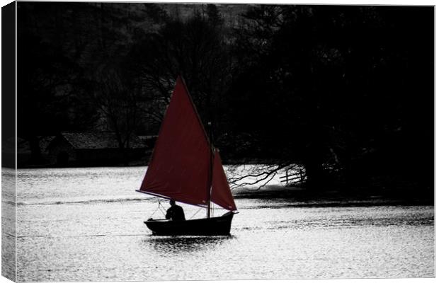 Sailing Ulswater Canvas Print by David French