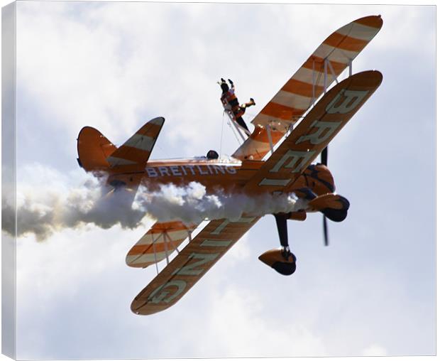 Wing Walkers Canvas Print by David French
