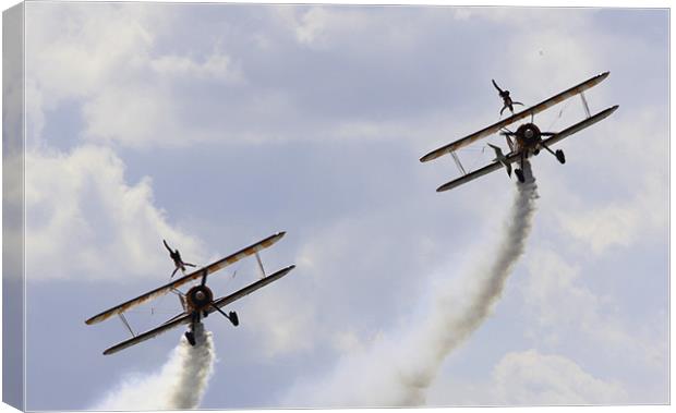 Wingwalkers air display Canvas Print by David French