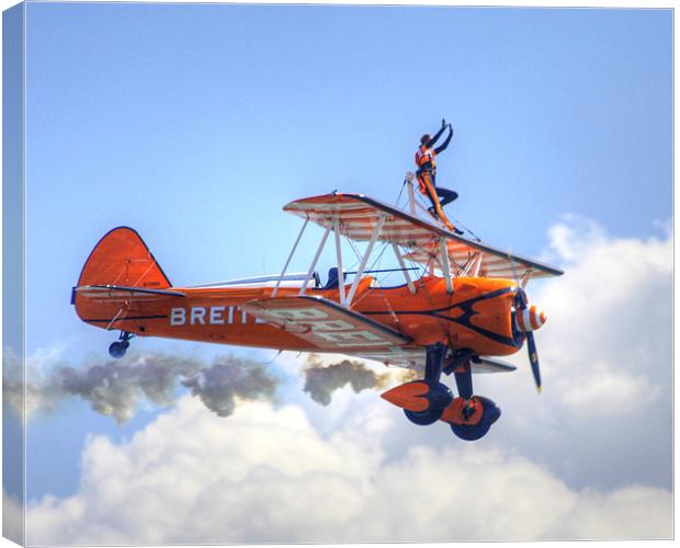 wingwalkers Air Display Canvas Print by David French