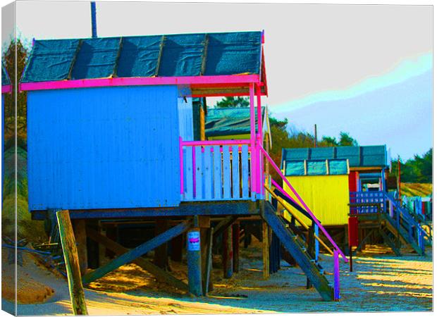 Beach Huts Canvas Print by David French