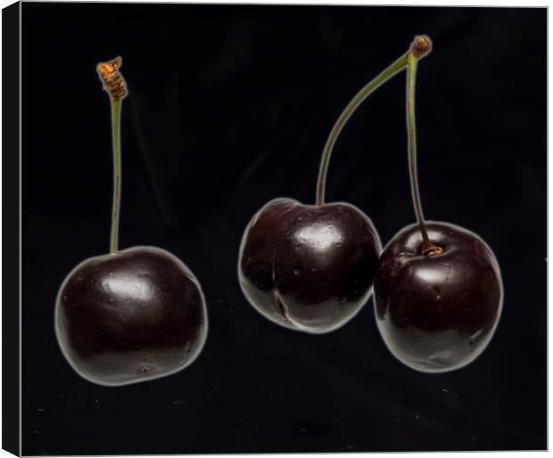 Fresh Cherries Canvas Print by David French