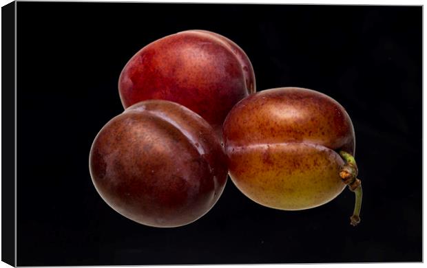 Victoria Plums Canvas Print by David French