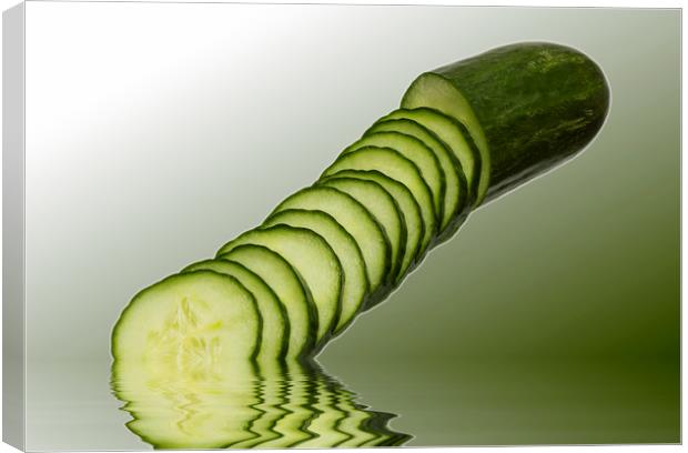 Cool as a Cucumber Slices Canvas Print by David French