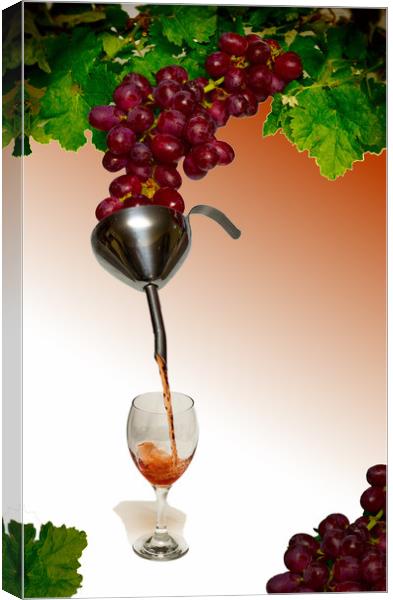 Grapes to wine Canvas Print by David French
