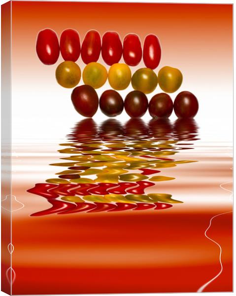 Plum Cherry Tomatoes Canvas Print by David French