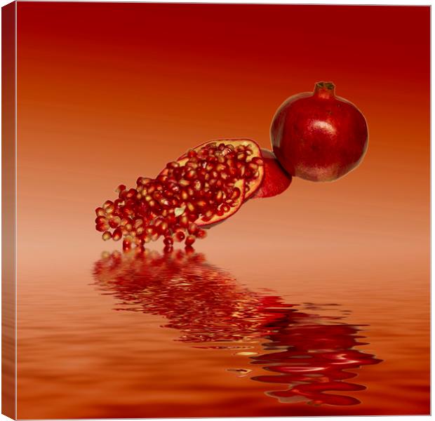 Pomegranate superfood fruit Canvas Print by David French
