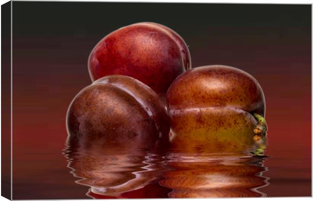 Victoria Plums Canvas Print by David French