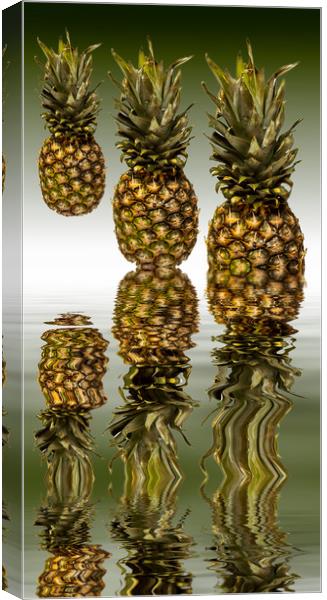 Fresh ripe pineapple fruits Canvas Print by David French
