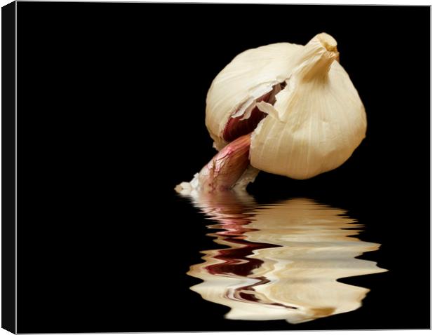 Garlic cloves of Garlic Canvas Print by David French