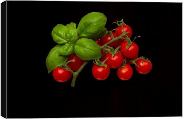 Plum Cherry Tomatoes Basil Canvas Print by David French