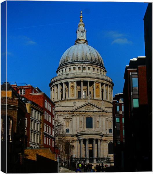 St Pauls Cathedral Canvas Print by David French