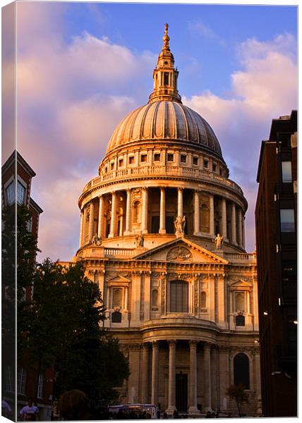 St Pauls Cathedral at London Attractions Canvas Print by David French