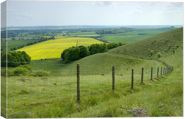 Vale of Pewsey Wiltshire Downs Canvas Print by David French