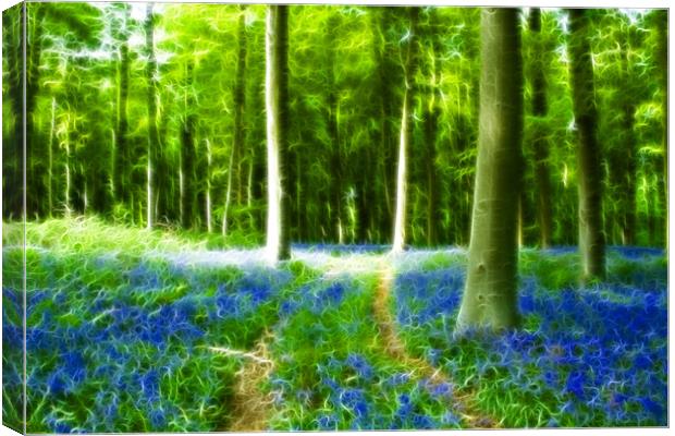 Bluebells at Westwoods Fractals Canvas Print by David French