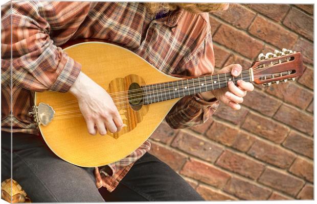 Street Busker mandolin appeal Canvas Print by David French
