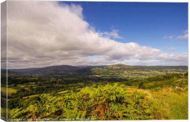 Beautiful Abergavenny Canvas Print by Julie Tattersfield